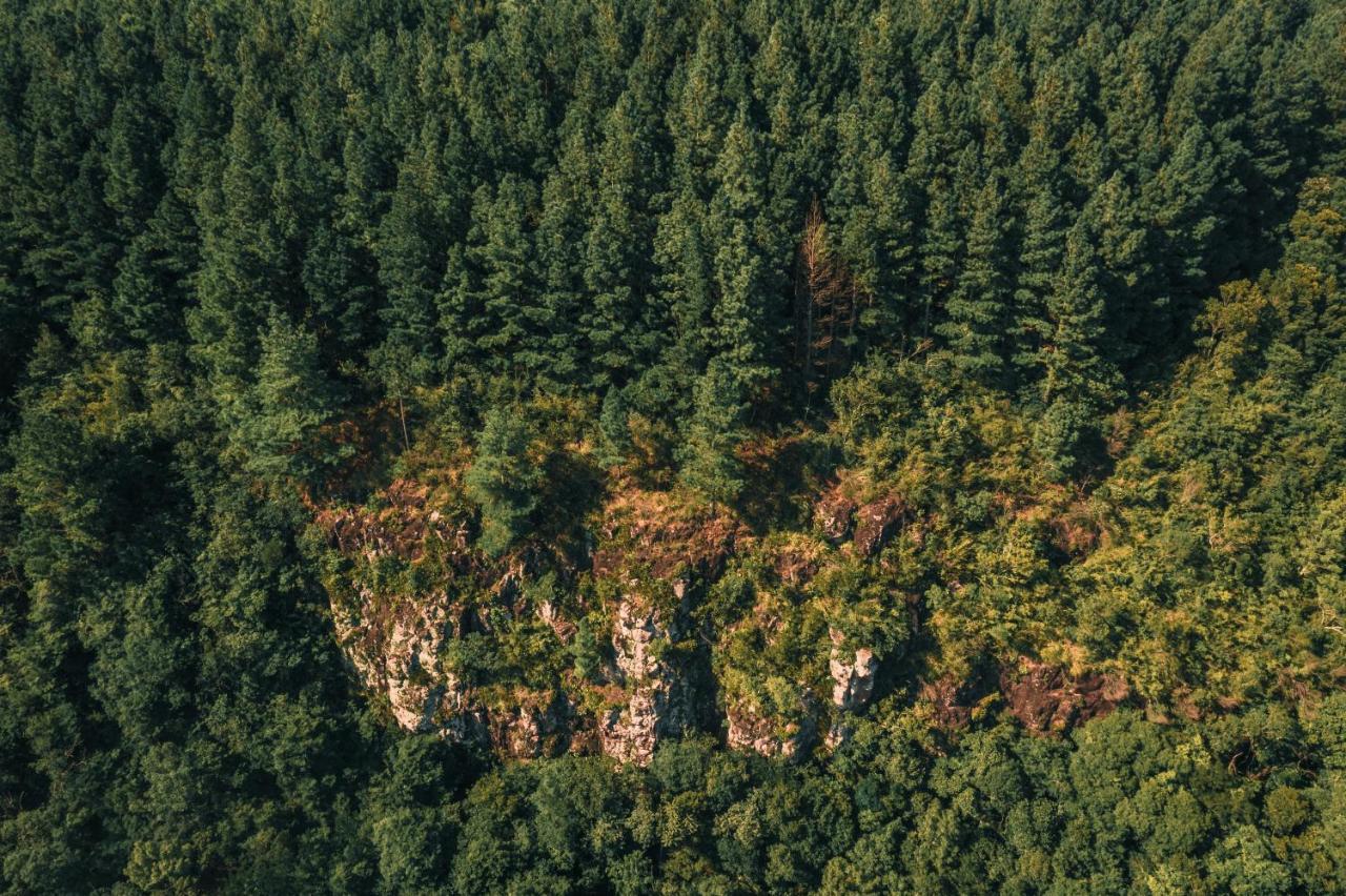 Estancia Las Araucarias كانيلا المظهر الخارجي الصورة