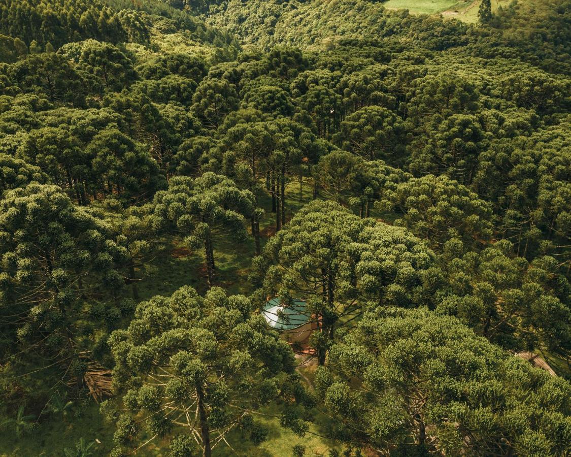Estancia Las Araucarias كانيلا المظهر الخارجي الصورة