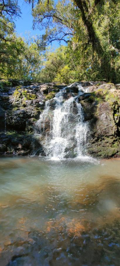 Estancia Las Araucarias كانيلا المظهر الخارجي الصورة